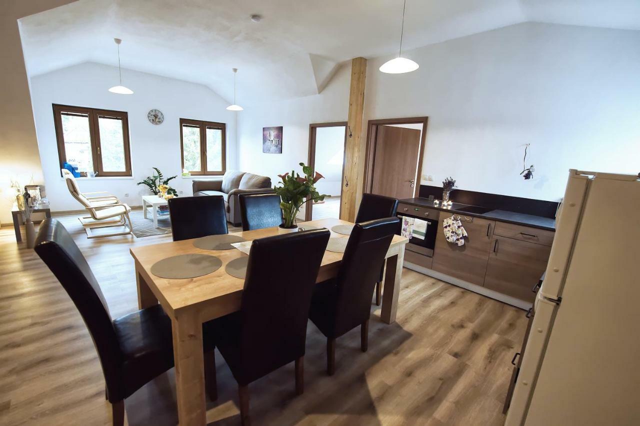 "U Capa" Krasny Apartman V Sedleci Sedlec  Exterior photo